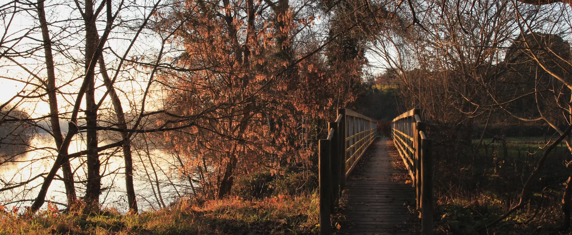 a wooden bridge spanning a serene river