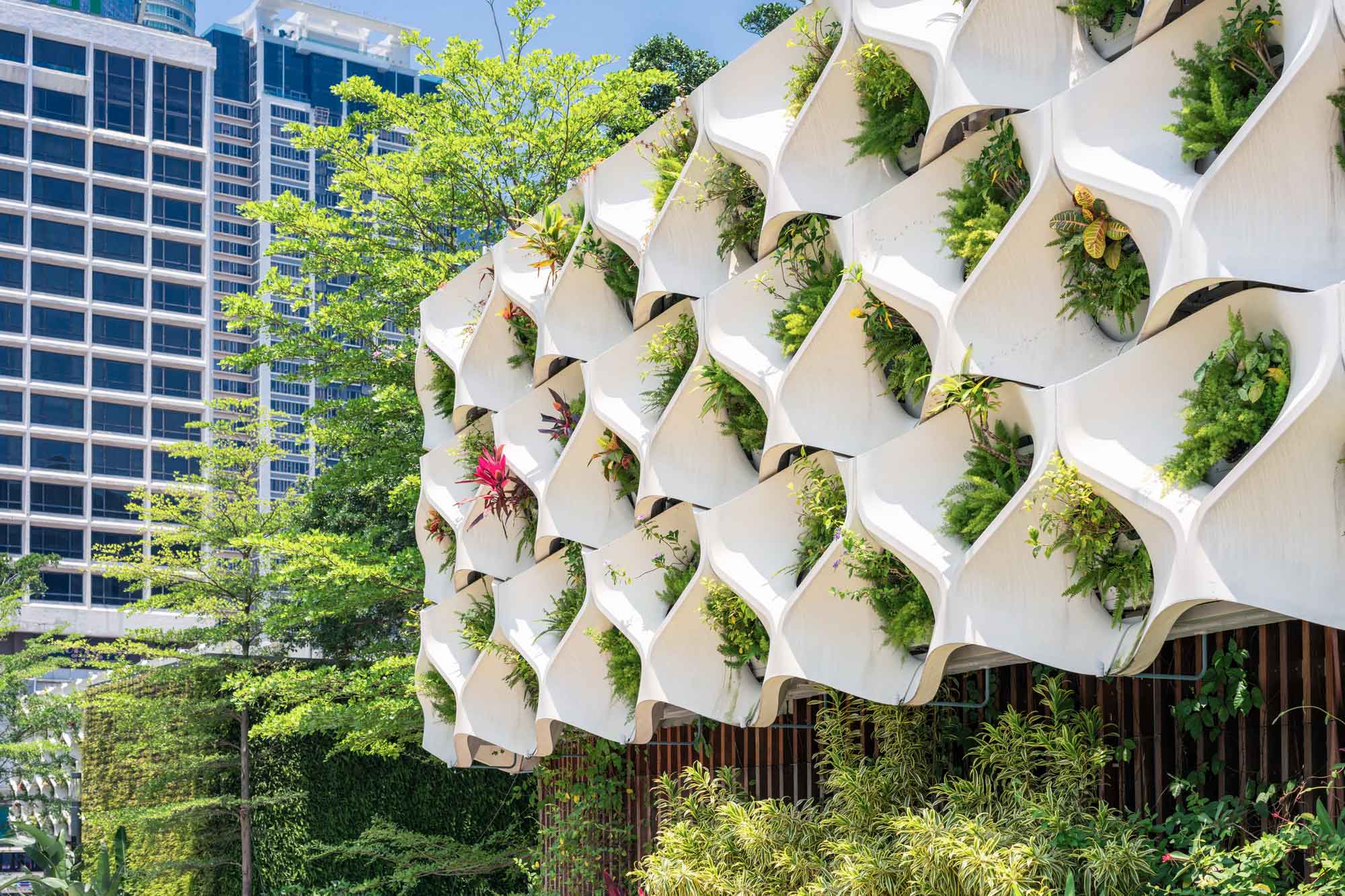 Plants growing in a vertical wall arrangement in a small public park