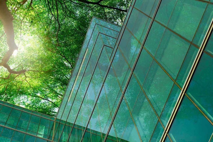 tree branches with leaves and sustainable glass building